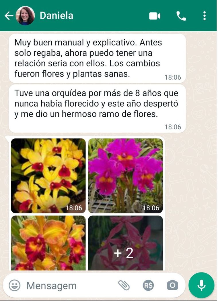 Testimonio de Daniela sobre Orquídeas Que Florecen