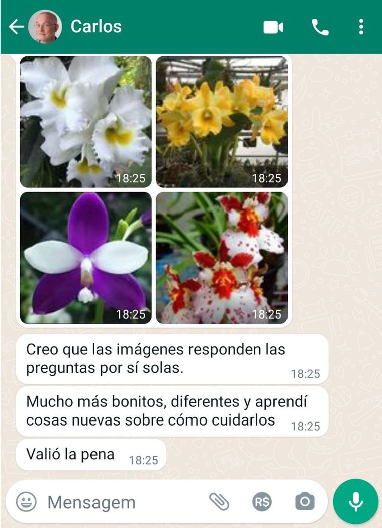 Testimonio de Carlos sobre Orquídeas Que Florecen